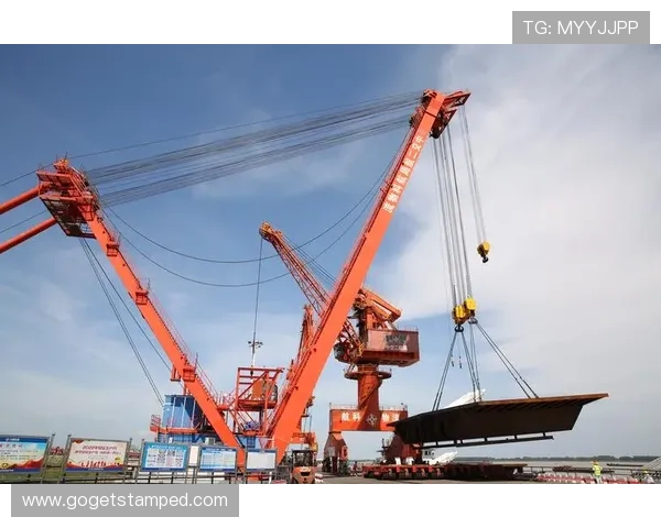 速发国际365智能物流解决方案，提升企业国际运营效率